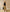 CHALK UK Ltd - Tamara Skirt | Dark Beige: M/L