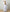 CHALK UK Ltd - Annabelle Dress | White