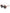 CHALK UK Ltd - Rome Sunglasses
