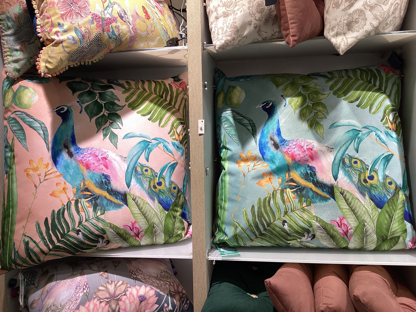 Peacock Outdoor Cushion